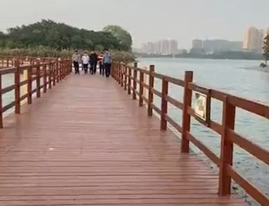 虎丘湿地二期浮桥